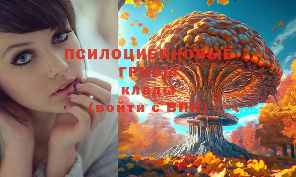ГАЛЛЮЦИНОГЕННЫЕ ГРИБЫ Баксан