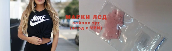ГАЛЛЮЦИНОГЕННЫЕ ГРИБЫ Баксан