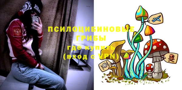 ГАЛЛЮЦИНОГЕННЫЕ ГРИБЫ Баксан