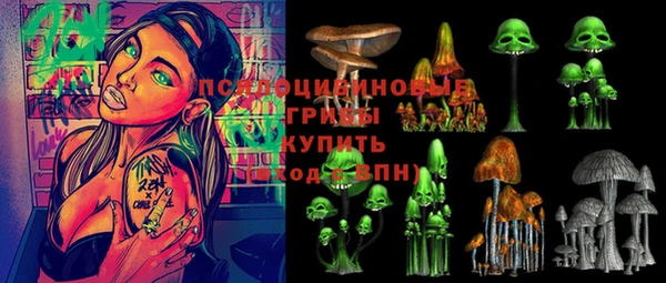 ГАЛЛЮЦИНОГЕННЫЕ ГРИБЫ Баксан